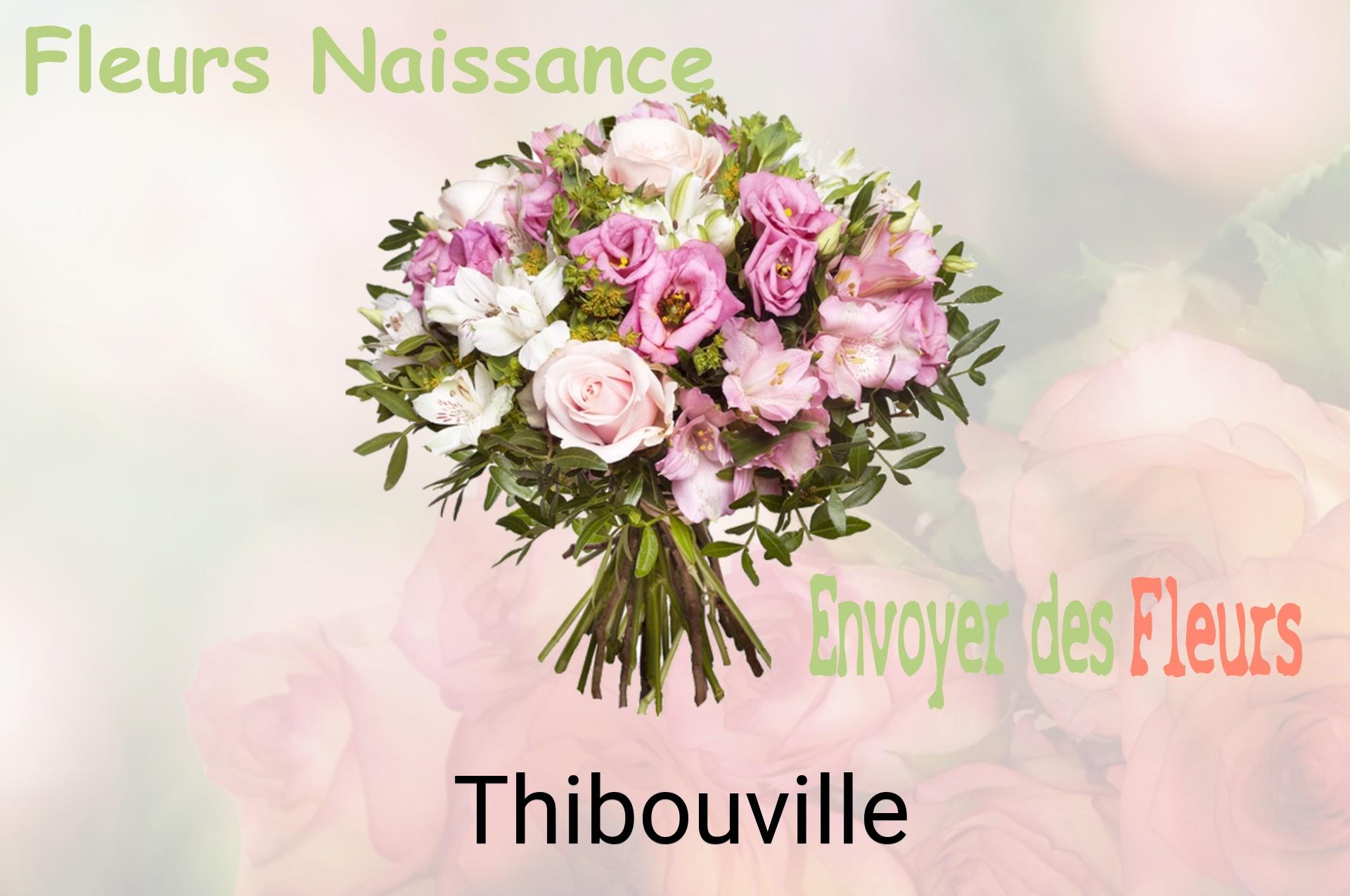 Bouquet de fleurs de naissance livré à Thibouville